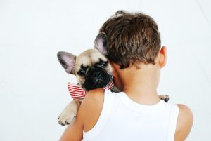 The Significance of Caring for Pets