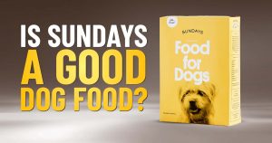 Review of Sundays for Dogs Food 2023: Advantages, Disadvantages & Expert Assessment