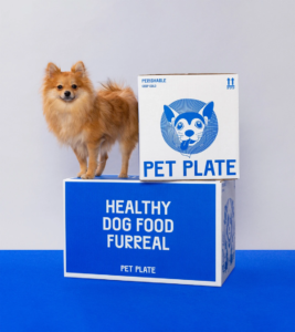 Pet Plate Dog Food Review: Is Fresh Food Superior?