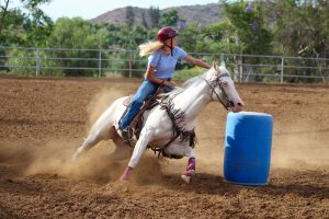 Horses in Barrel Racing